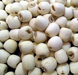 洪湖散装莲子（白莲）